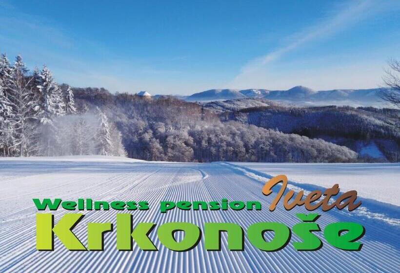 Номер Deluxe, Wellness Pension Iveta
