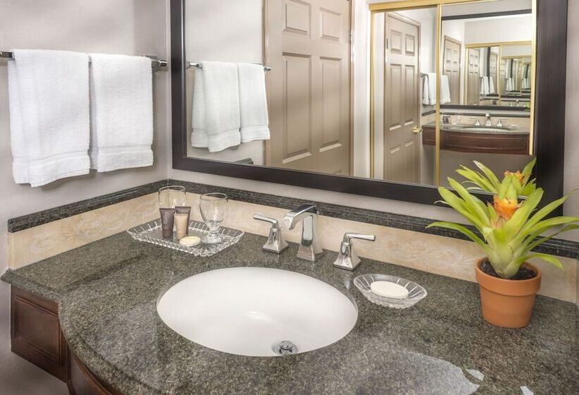스탠다드 룸 킹사이즈 침대, Ayres Hotel Laguna Woods   Aliso Viejo