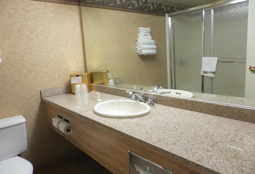 豪华房间, Buffalo Bills Resort & Casino
