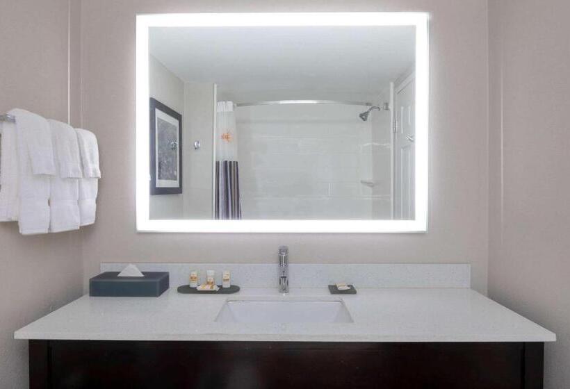 Quarto Deluxe, La Quinta By Wyndham Kennesaw