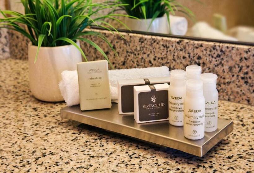 Стандартный Номер Кровать Кинг, Silver Cloud Hotel   Seattle Broadway
