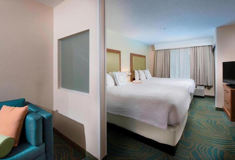 Люкс, Springhill Suites By Marriott Atlanta Alpharetta