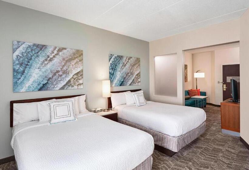 Lakosztály, Springhill Suites By Marriott Chicago Schaumburg/woodfield Mall