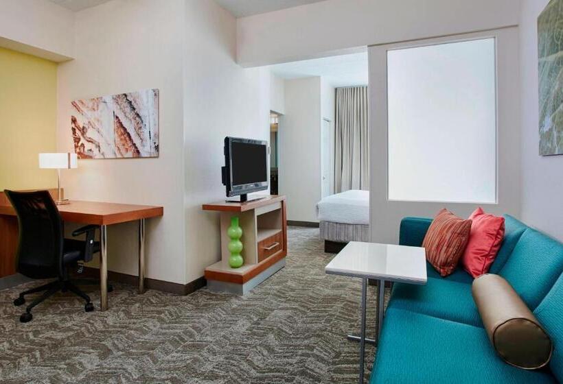 Mozgáskorlátozott Suite, Springhill Suites By Marriott Chicago Schaumburg/woodfield Mall
