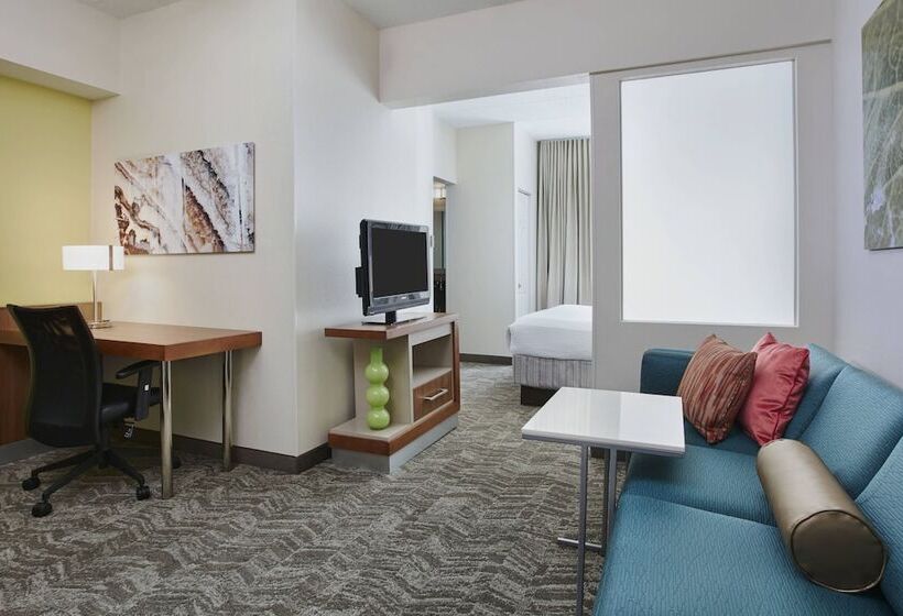 Mozgáskorlátozott Suite, Springhill Suites By Marriott Chicago Schaumburg/woodfield Mall