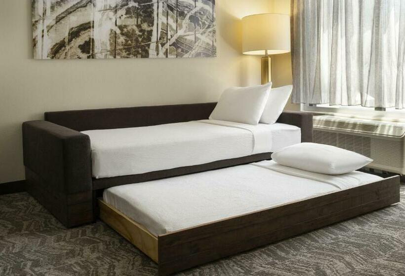 Suíte para Deficientes Físicos, Springhill Suites Fort Worth University