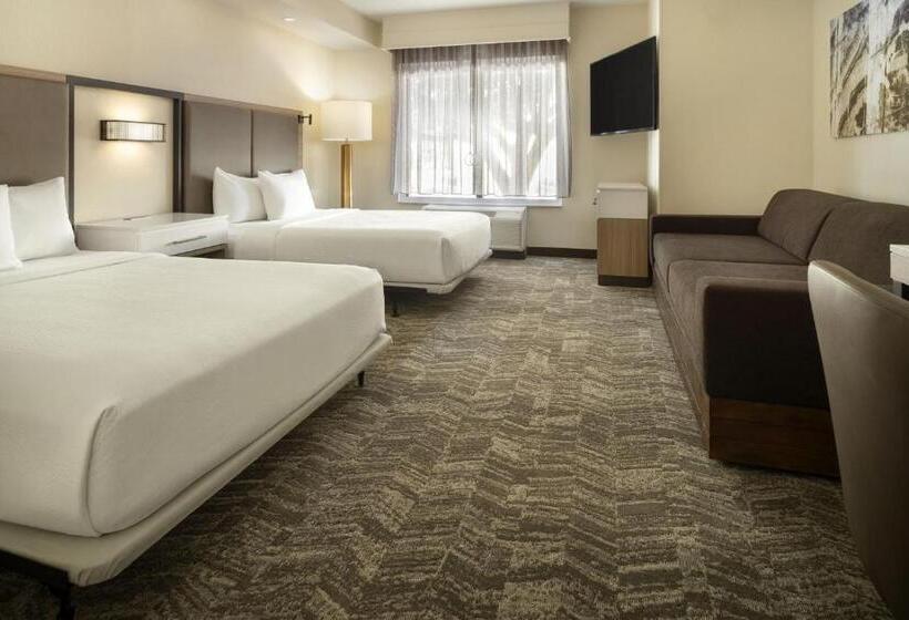 Suíte para Deficientes Físicos, Springhill Suites Fort Worth University