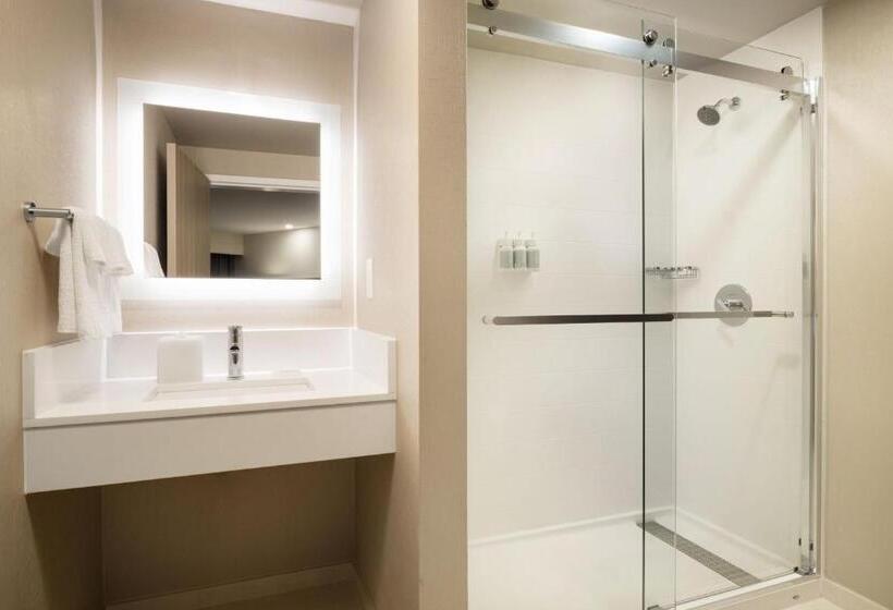 Suíte Executiva Cama king, Springhill Suites Fort Worth University