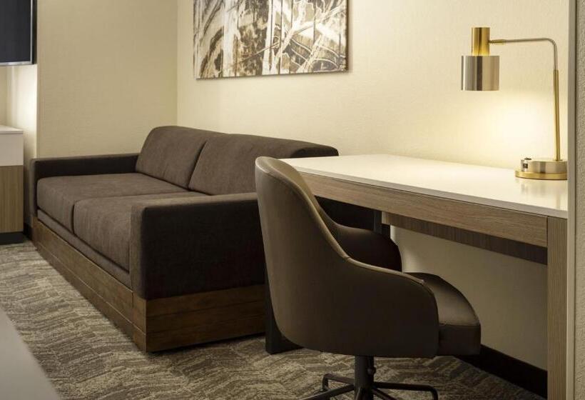 Suíte Executiva Cama king, Springhill Suites Fort Worth University