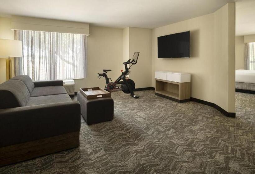 Suíte Cama King, Springhill Suites Fort Worth University