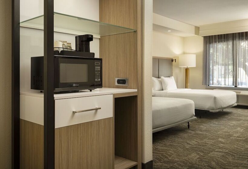 Suíte para Deficientes Físicos, Springhill Suites Fort Worth University