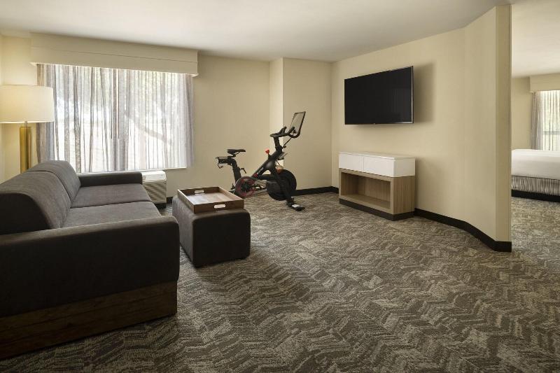 Suíte Cama King, Springhill Suites Fort Worth University
