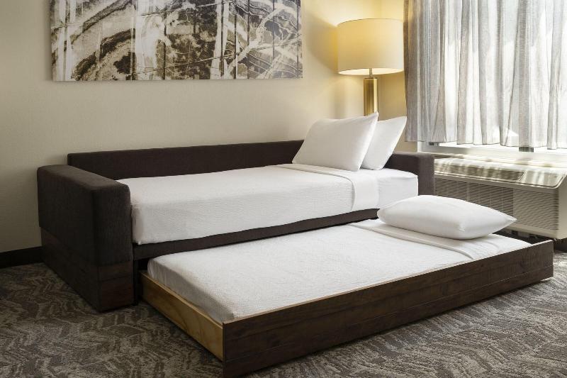Suíte Cama Queen, Springhill Suites Fort Worth University