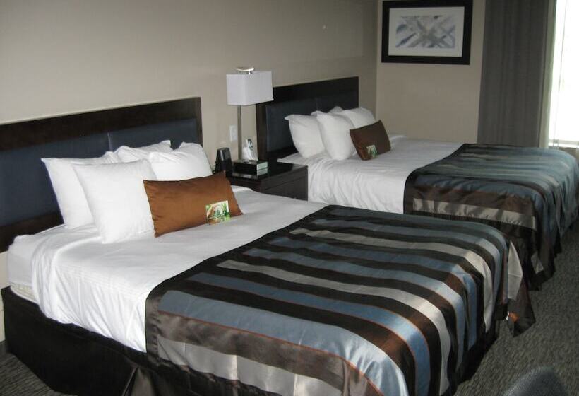 Номер Стандарт 2 Двуспальные Кровати, Wingate By Wyndham Fargo