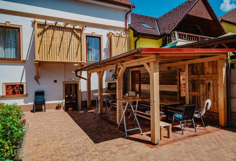 Студия Стандарт, Penzion Lederer