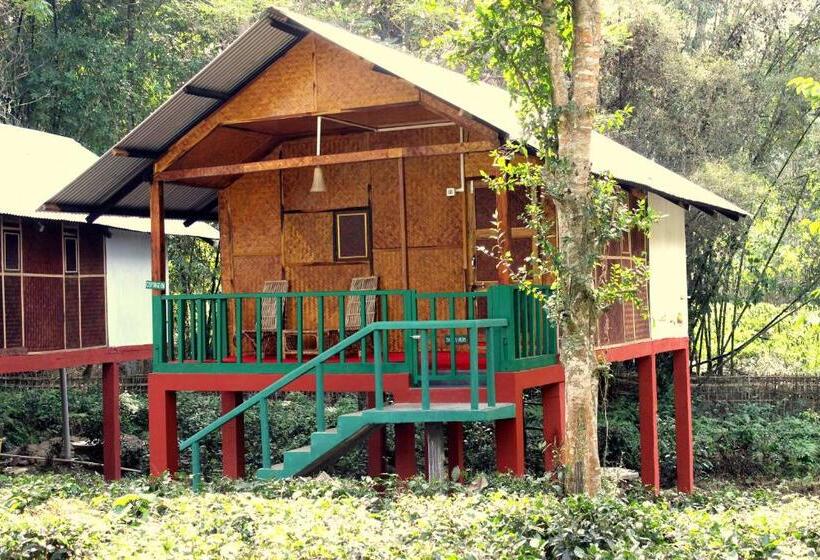 带大床的标准间, Nature Hunt Eco Camp