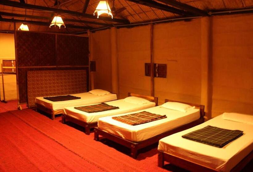 ファミリールーム, Nature Hunt Eco Camp