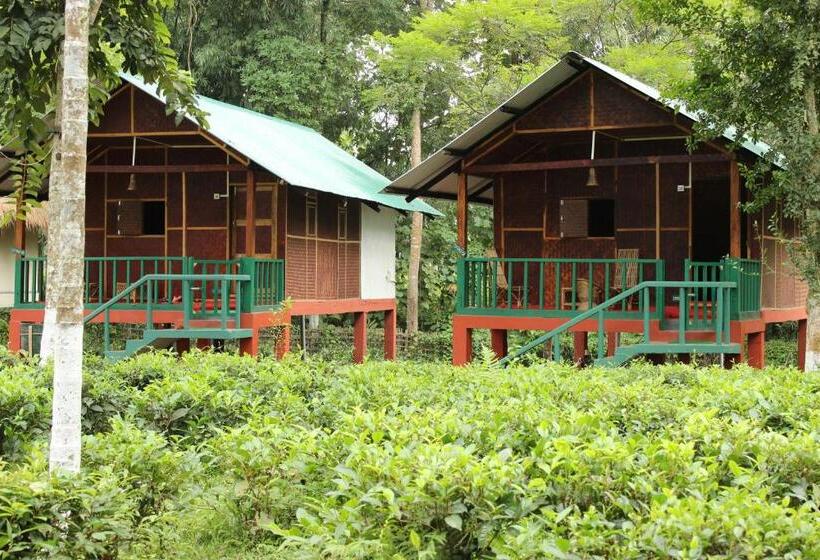 キングサイズベッドのスタンダードルーム, Nature Hunt Eco Camp