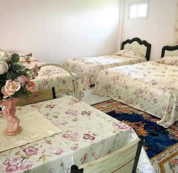 ファミリールーム, Daddy S Homestay