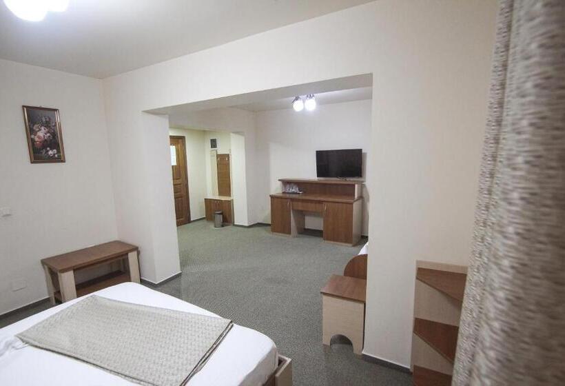 带1个卧室的公寓, Teju Hotels