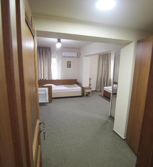 带1个卧室的公寓, Teju Hotels