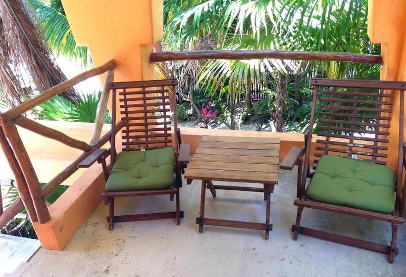 スタンダードスタジオ, Mayan Beach Garden
