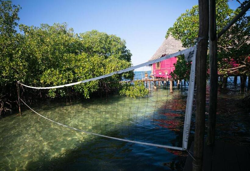 Бунгало Стандарт, Urraca Monkey Island Eco Resort