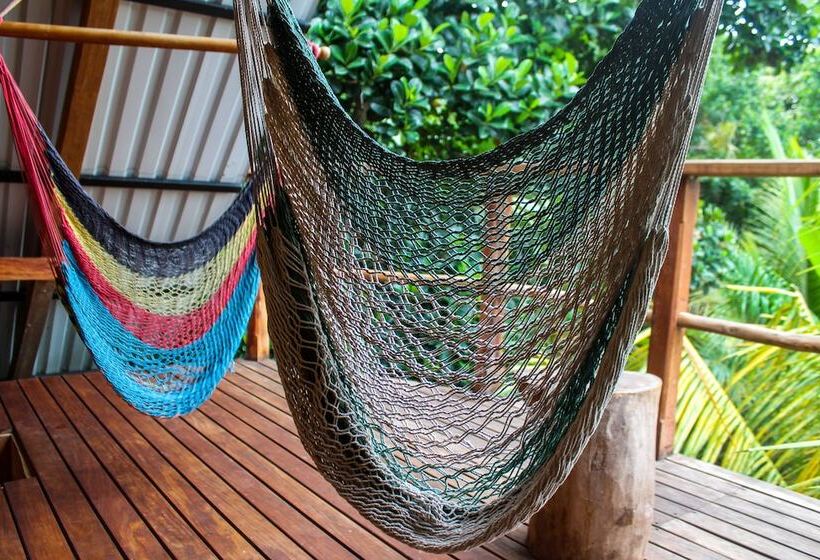 خانه 1 خوابه, Selvista Guesthouses
