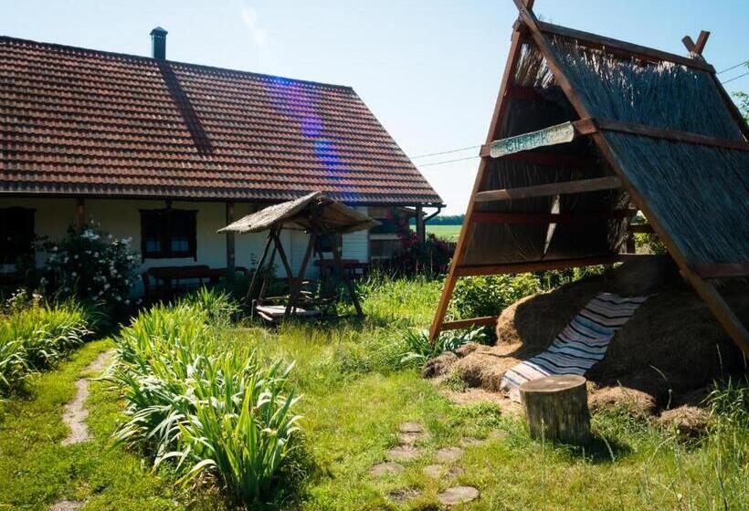 Номер Стандарт, Vesela Sadyba