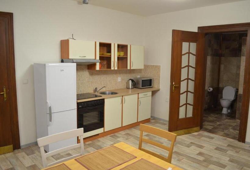 デラックスの4人部屋, Penzion Jungmannova