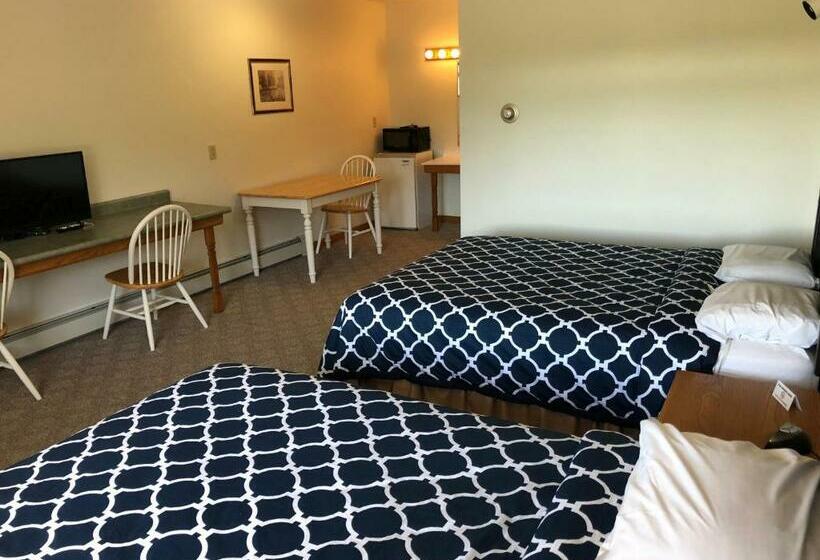 Номер Стандарт, Village Inn Motel