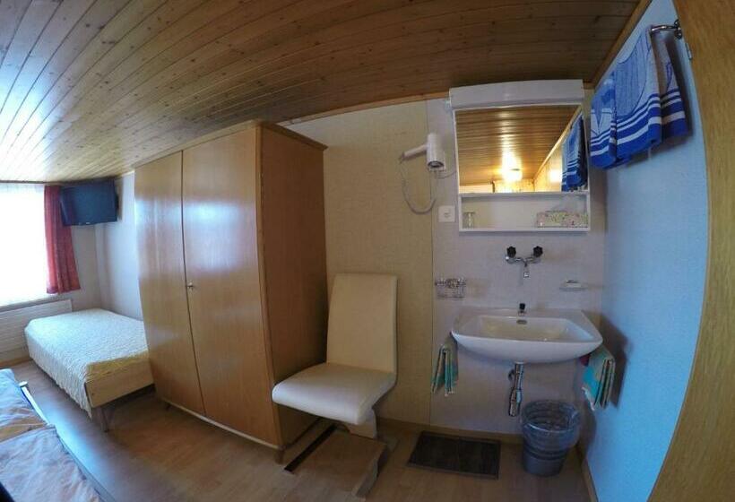 اتاق استاندارد سه تخته با سرویس بهداشتی مشترک, Garni Traube B&b