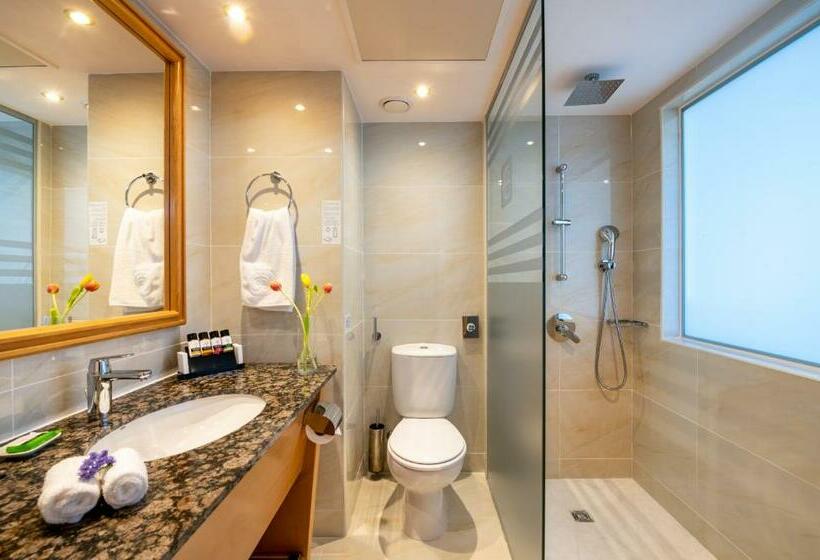 Номер Стандарт Смежный, Constantinou Bros Athena Beach Hotel