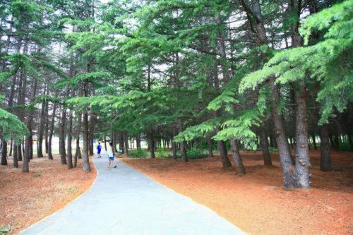 标准间带阳台, Continental Park