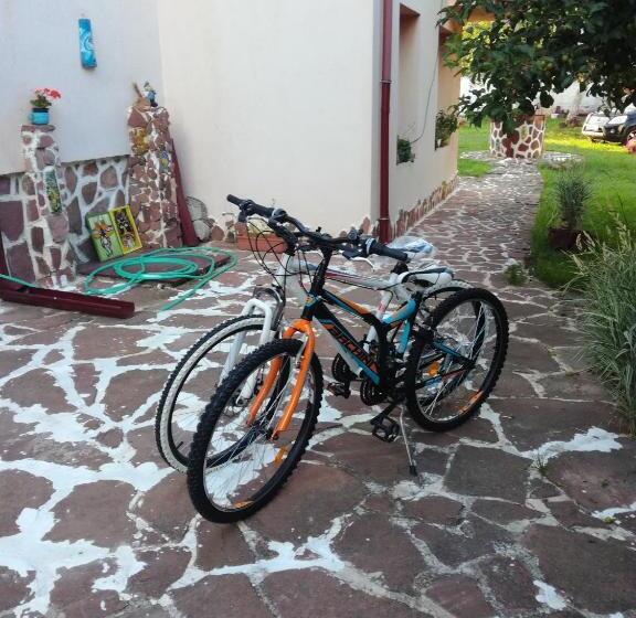 디럭스 룸, Hadjibulevata Guest House