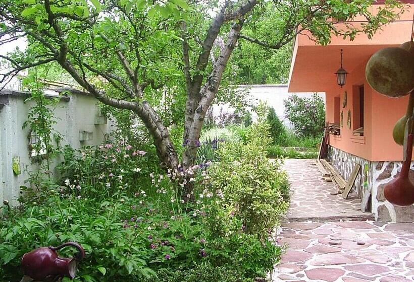 디럭스 룸, Hadjibulevata Guest House
