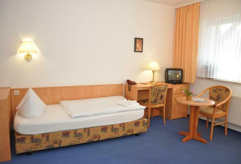 Номер Стандарт Индивидуальный, Pension Lindenhof