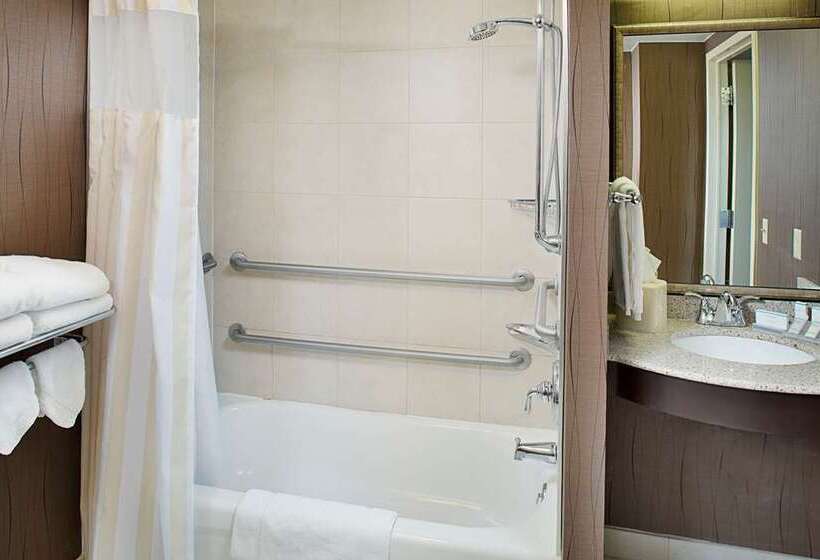 身障者適用スーペリアールーム, Ms Milenium Monterrey Curio Collection By Hilton