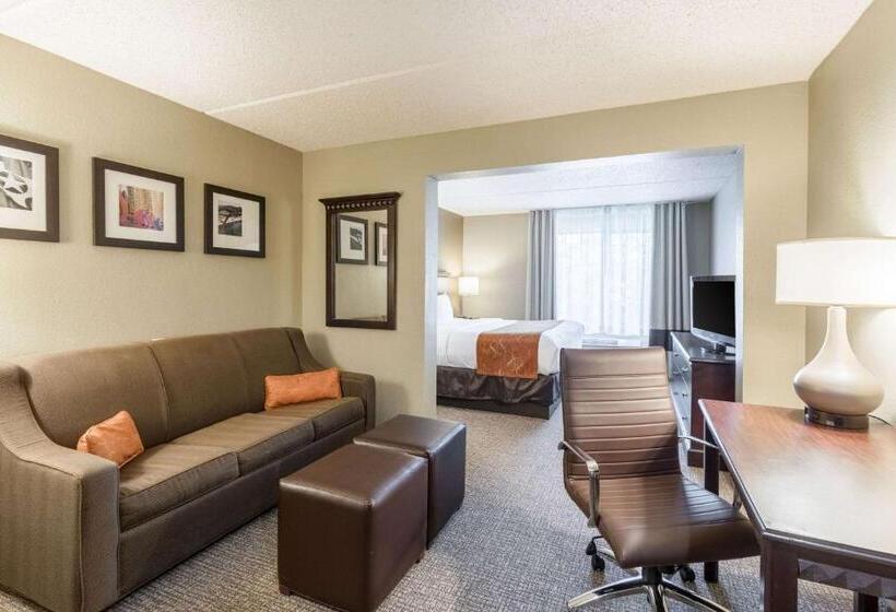 Suite Lit King, Comfort Suites Austin Airport