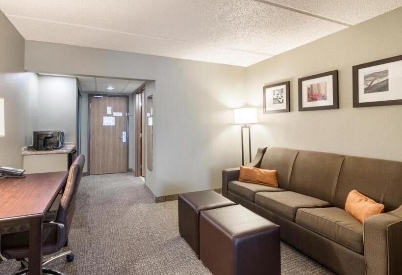 Suite, Comfort Suites Austin Airport