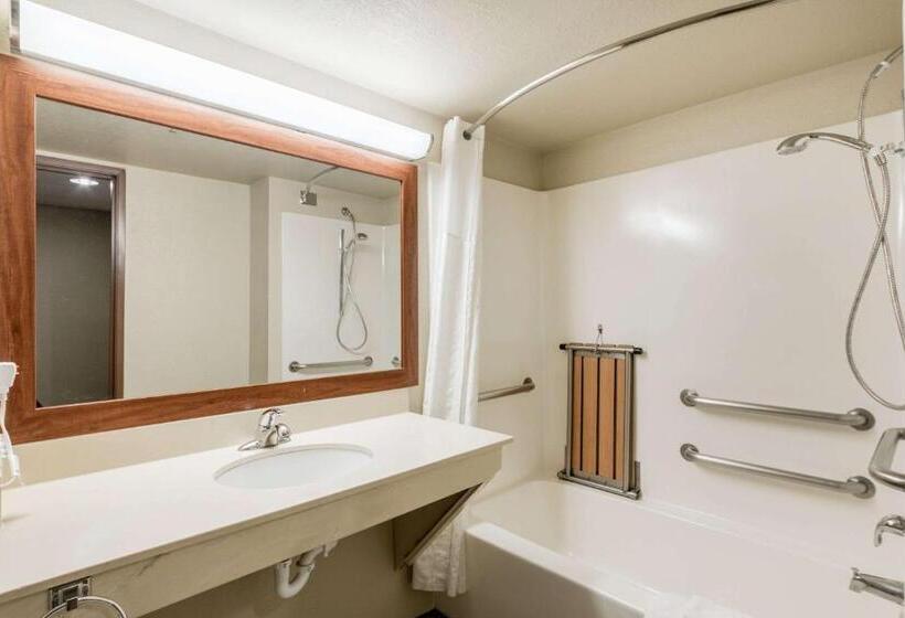 Suite Adaptée aux Personnes à Mobilité Réduite, Comfort Suites Austin Airport
