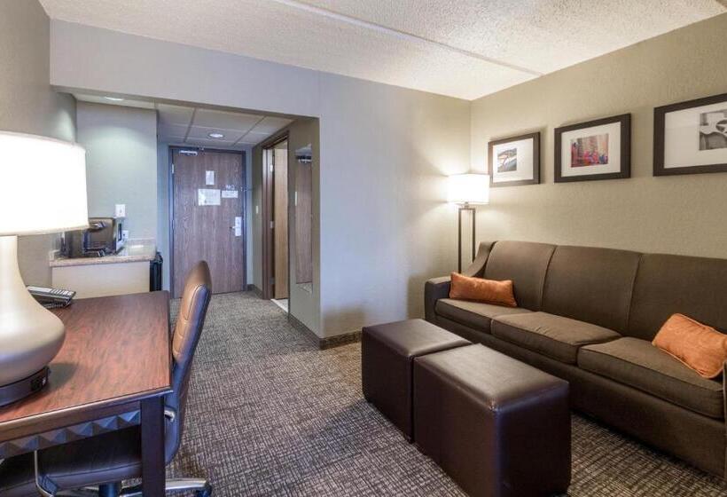 Suite Adaptée aux Personnes à Mobilité Réduite, Comfort Suites Austin Airport