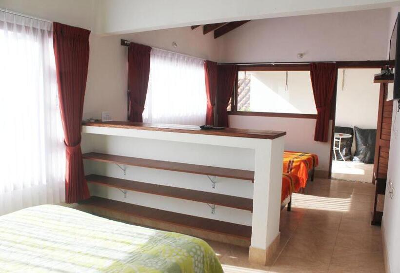 Семейный Номер, Casa Leo
