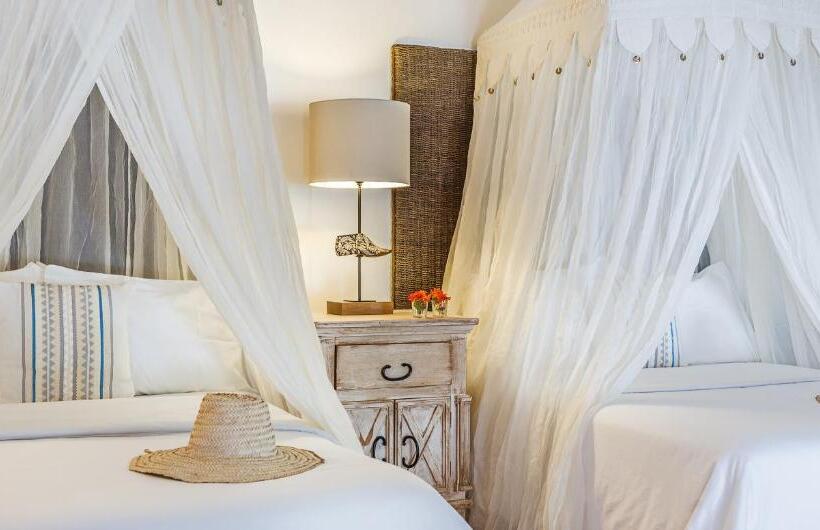 اتاق سوپریور, Ser Casasandra Boutique