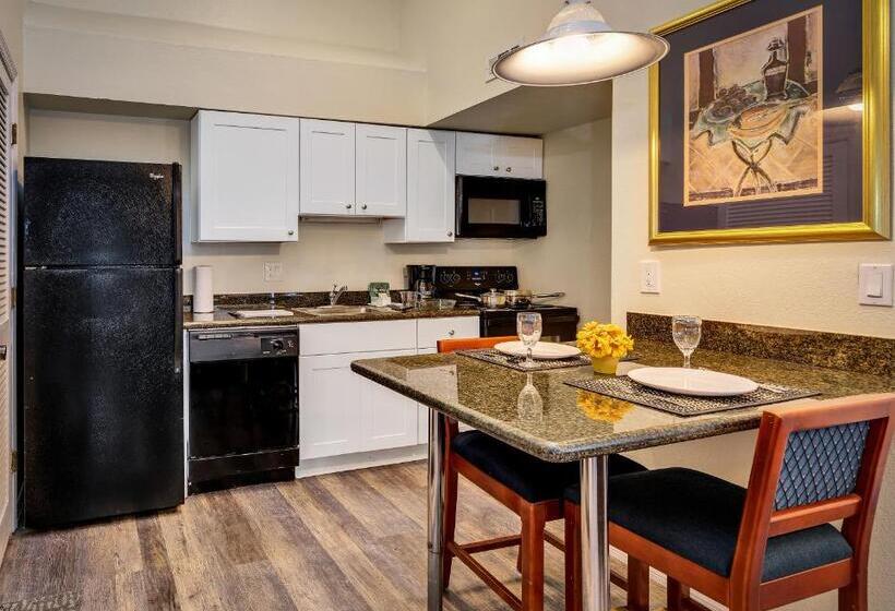 스탠다드 스튜디오, Chase Suite Hotel Rocky Point Tampa
