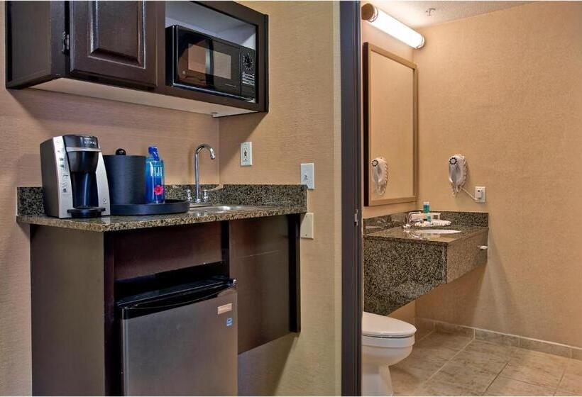 חדר סטנדרט, Holiday Inn Express & Suites Costa Mesa, An Ihg
