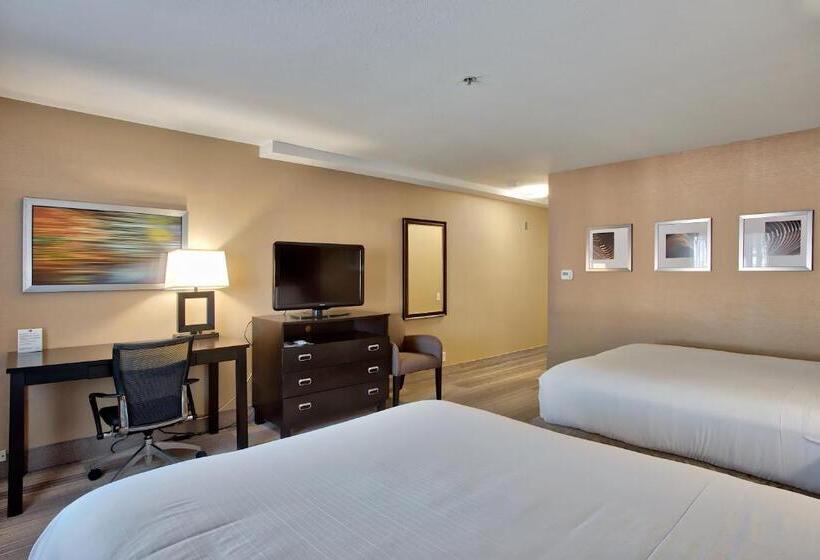 חדר סטנדרט, Holiday Inn Express & Suites Costa Mesa, An Ihg