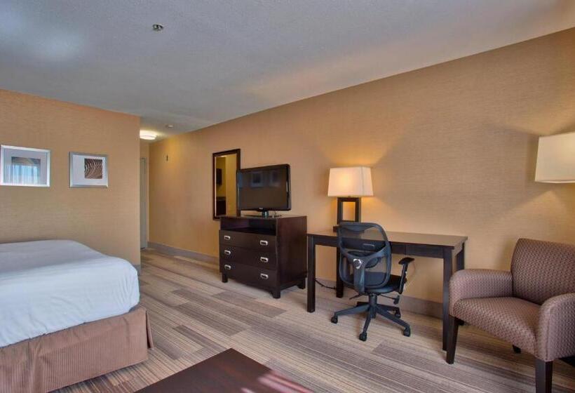 חדר סטנדרט עם מיטת קינג, Holiday Inn Express & Suites Costa Mesa, An Ihg