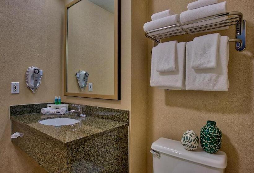 חדר סטנדרט עם מיטת קינג, Holiday Inn Express & Suites Costa Mesa, An Ihg