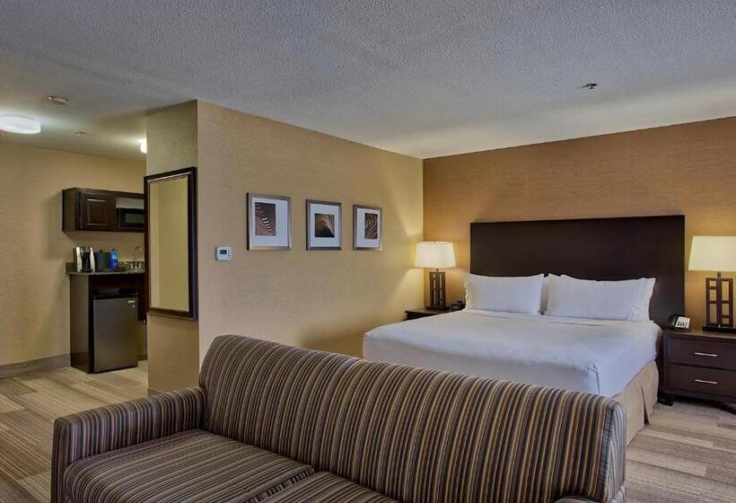 Люкс Кровать Кинг, Holiday Inn Express & Suites Costa Mesa, An Ihg